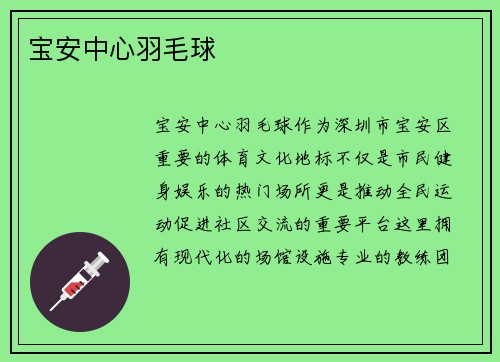 宝安中心羽毛球