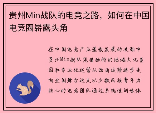 贵州Min战队的电竞之路，如何在中国电竞圈崭露头角
