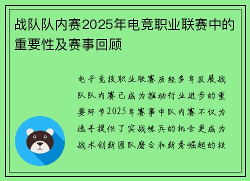 战队队内赛2025年电竞职业联赛中的重要性及赛事回顾